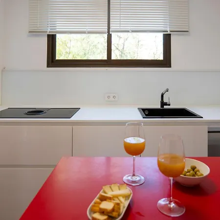 White Holiday home